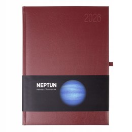 Kalendarz książkowy A4 2026 Biznesowy Dzienny Quantum Neptun Bordowy