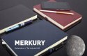 Kalendarz książkowy A5 2026 dzienny dla biznesmenów Quantum Merkury Czarny