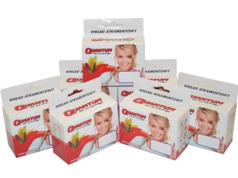 Wysokowydajny Tusz do HP 300XL BK D1660 D2560 F2480 F4580 F4680 F4210 C4440