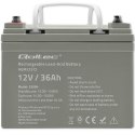 Qoltec Akumulator AGM | 12V | 36Ah | Bezobsługowy | Wydajny | LongLife | do UPS, skutera