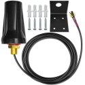 Qoltec Antena 4G LTE DUAL | 7dBi | dookólna | zewnętrzna
